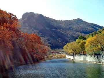 新澳天天开奖资料大全旅游团，至纯天珠